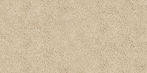 westernsuede-41102x
