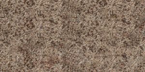 windsweptbronze-92922x