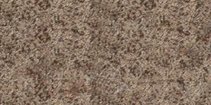 windsweptbronze-92922x